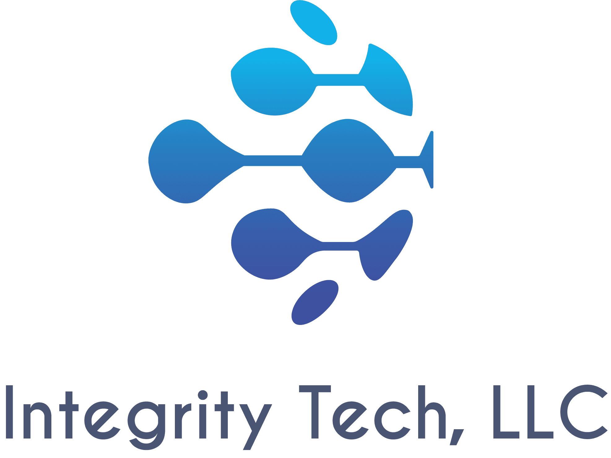 Integrity Tech, LLC